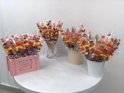 זרי שיפודים לדוגמא